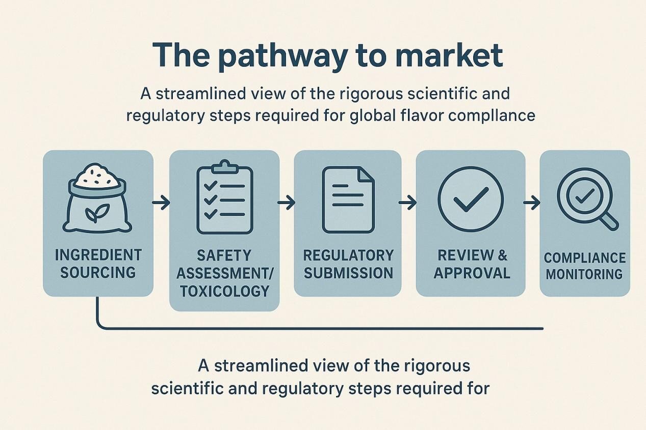 مخطط انسيابي الرسم البياني يوضح عملية الموافقة التنظيمية لمادة نكهة جديدة. تشمل المراحل المعروضة مصادر المكونات ، وتقييم السلامة/علم السموم ، والتقديم التنظيمي ، والمراجعة والموافقة ، ومراقبة الامتثال ، متصلة بالسهام للإشارة إلى التقدم. يقرأ التسمية التوضيحية: "المسار إلى السوق: وجهة نظر مبسطة للخطوات العلمية والتنظيمية الصارمة المطلوبة للامتثال للنكهة العالمية."